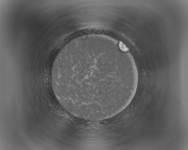 X0000082760918200702162021