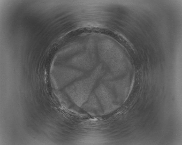 X0000082760919200702162021