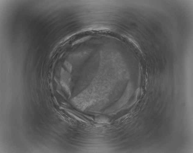 X0000082760920200702162021