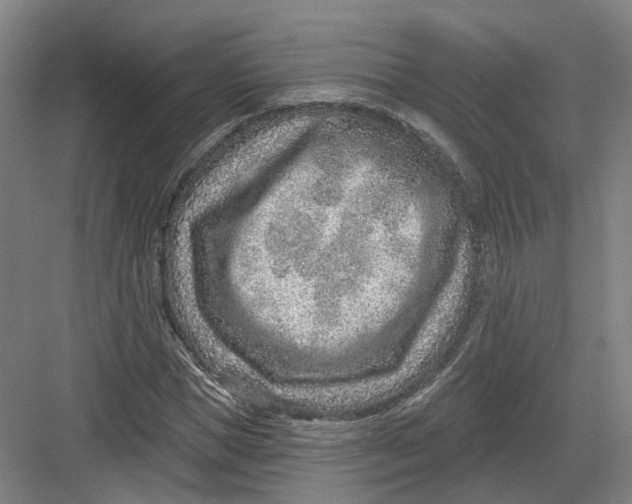 X0000082760921200702162021