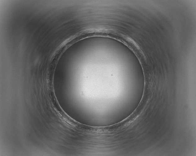 X0000082760922200702162021