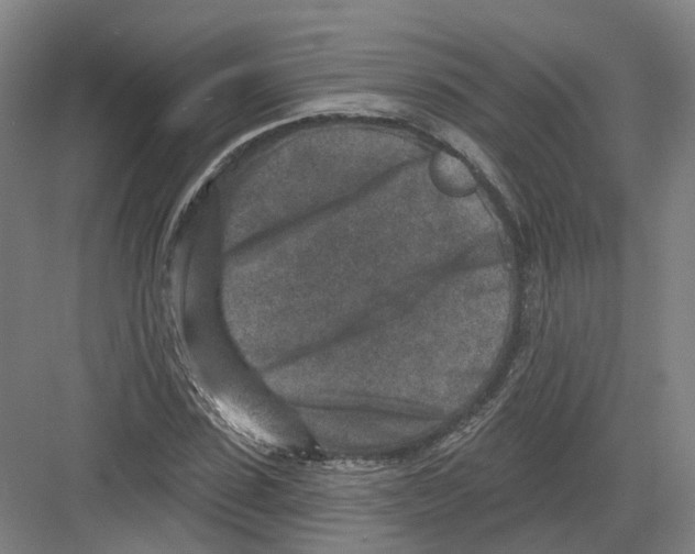 X0000082760923200702162021