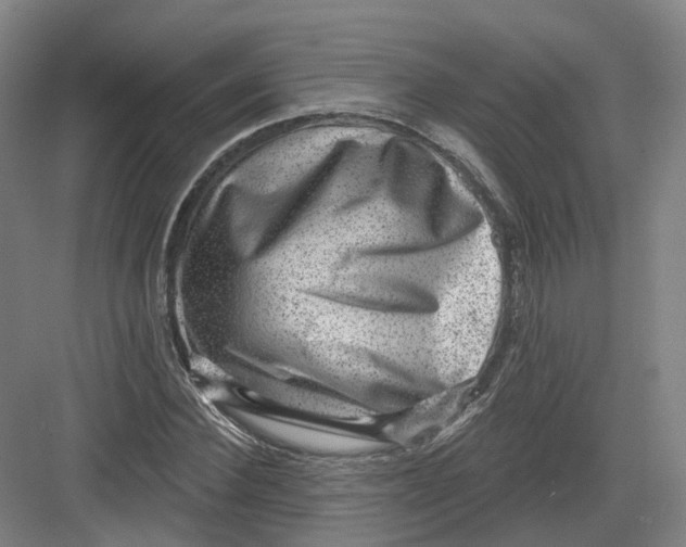 X0000082760924200702162021