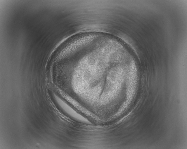 X0000082760925200702162021