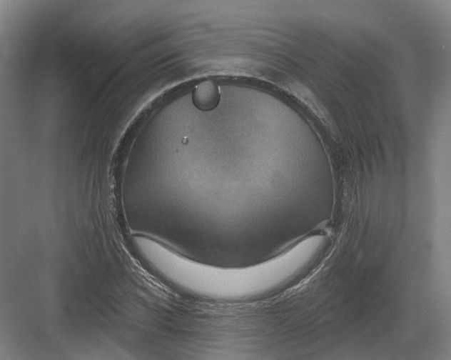 X0000082760926200702162021