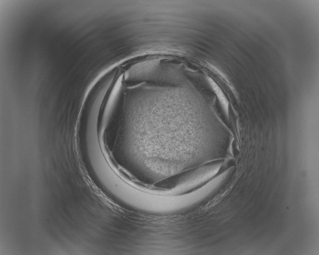 X0000082760928200702162021