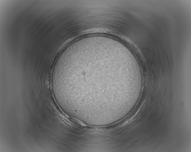 X0000082760929200702162021