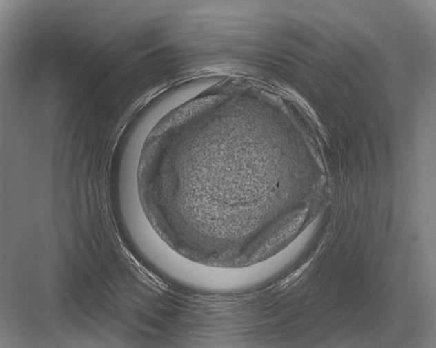 X0000082760930200702162021