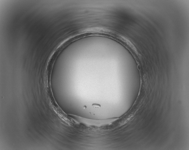 X0000082760931200702162021