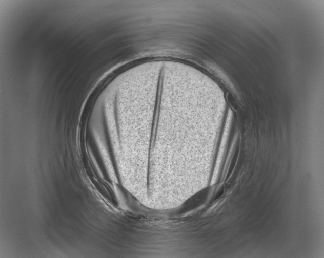 X0000082760932200702162021