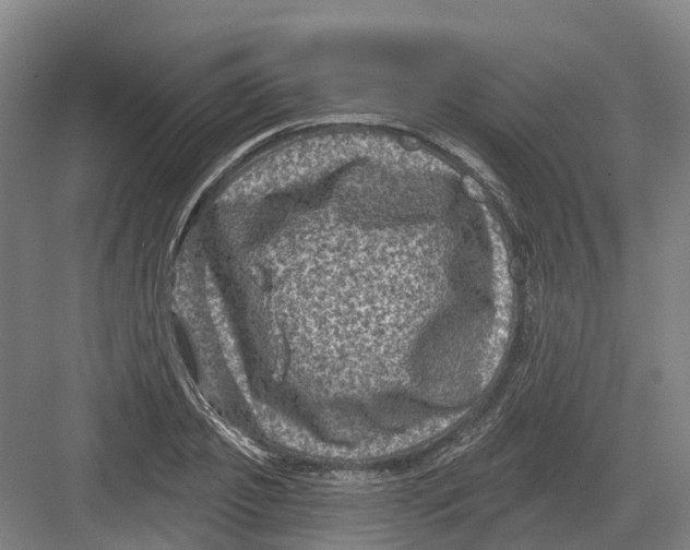 X0000082760933200702162021