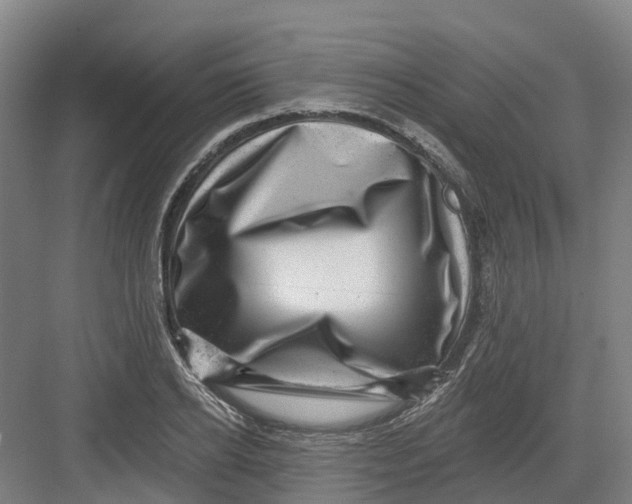 X0000082760934200702162021