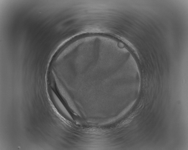 X0000082760935200702162021