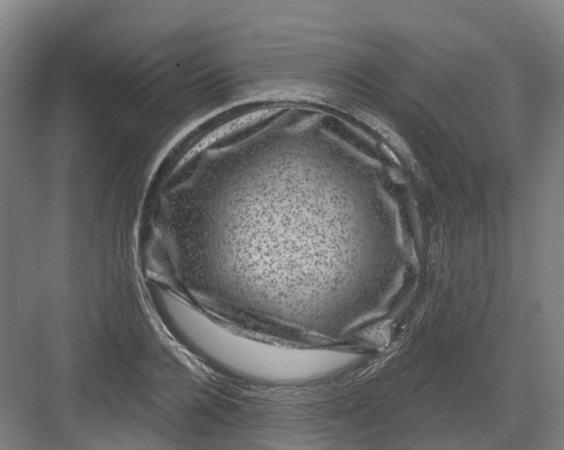 X0000082760936200702162021