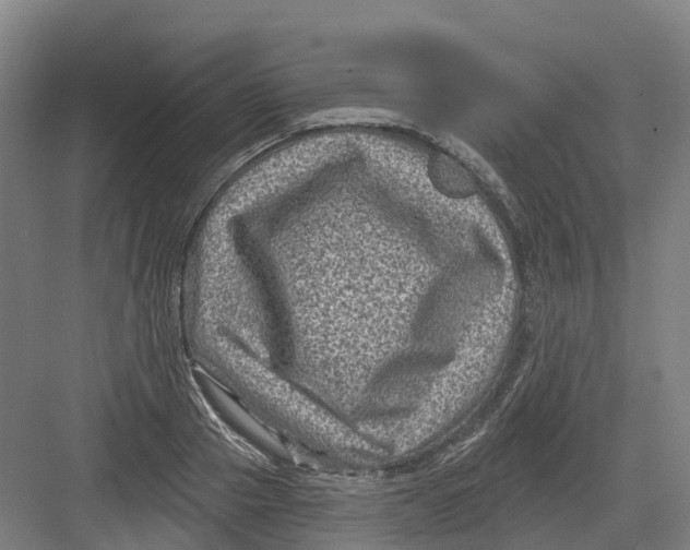 X0000082760937200702162021