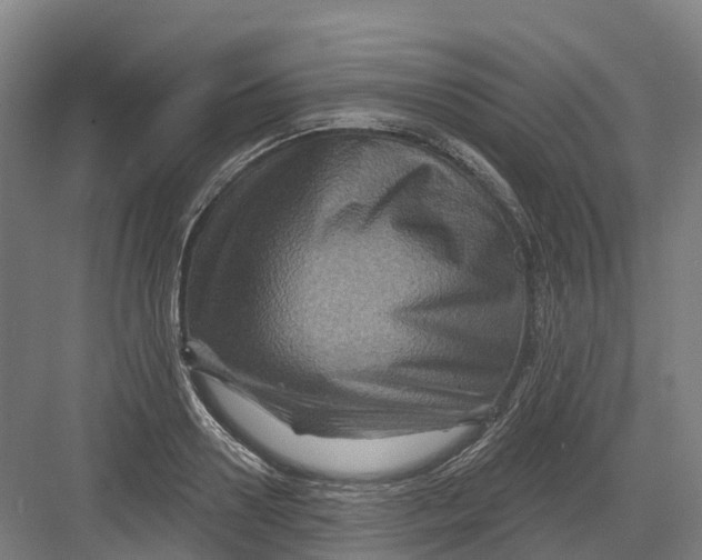 X0000082760938200702162022