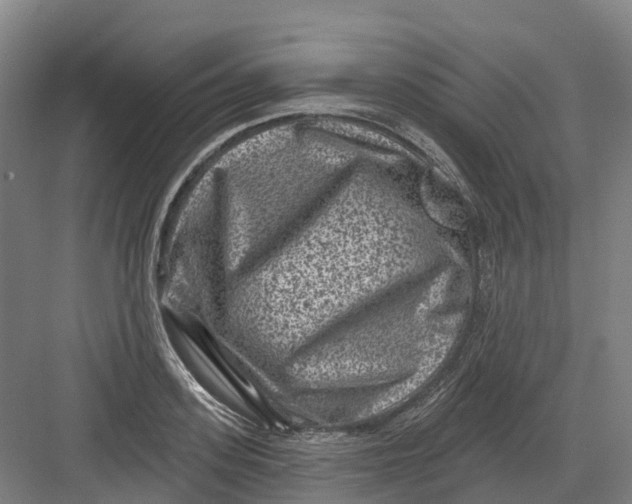 X0000082760939200702162022