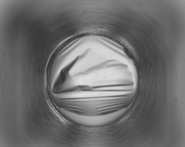 X0000082760940200702162022