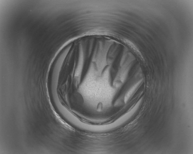 X0000082760942200702162022