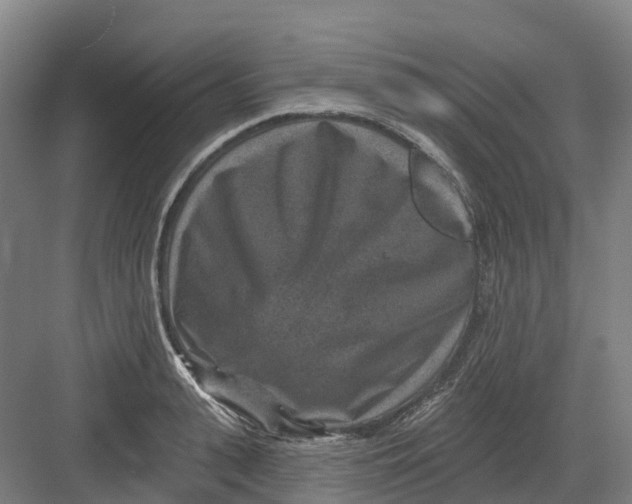 X0000082760943200702162022