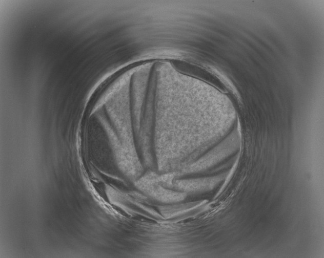 X0000082760944200702162022