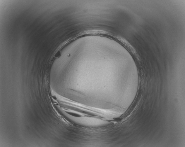 X0000082760945200702162022