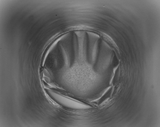 X0000082760946200702162022