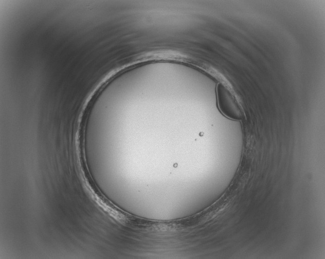 X0000082760947200702162022