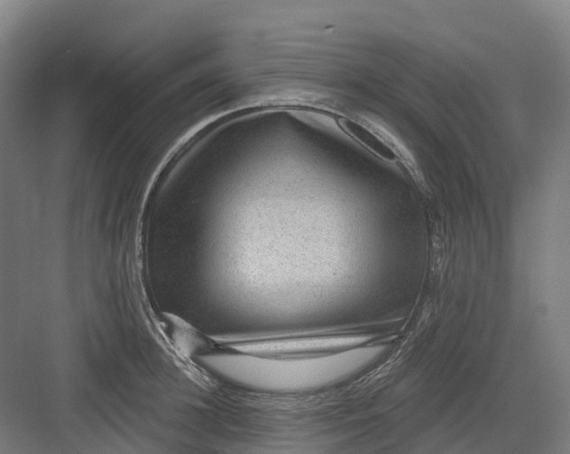 X0000082760948200702162022