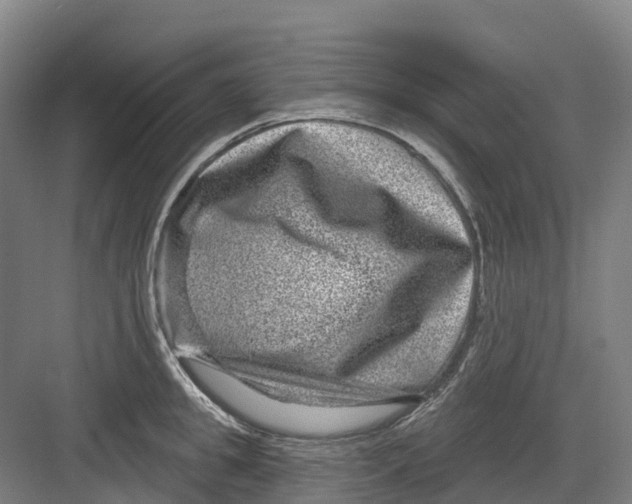 X0000082760949200702162022