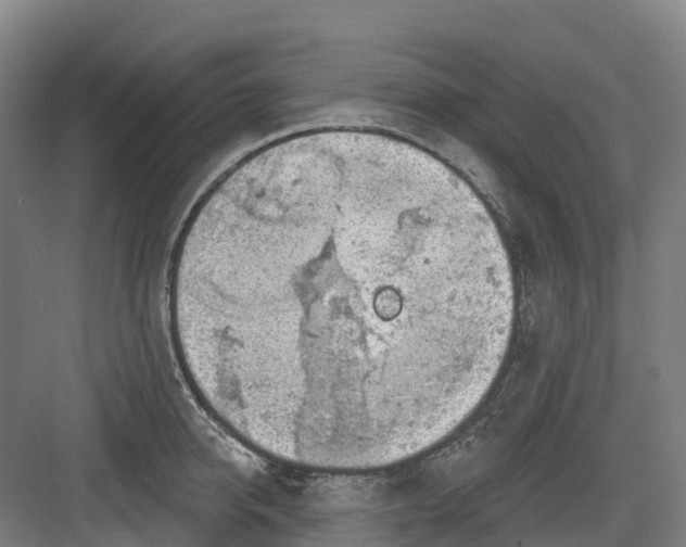 X0000082760950200702162022