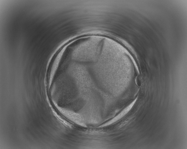 X0000082760951200702162022