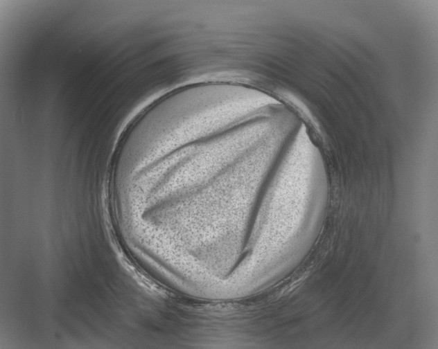 X0000082760952200702162022