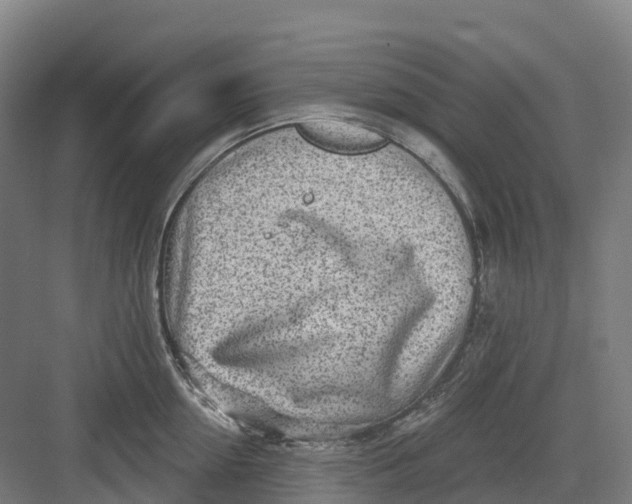 X0000082760954200702162022