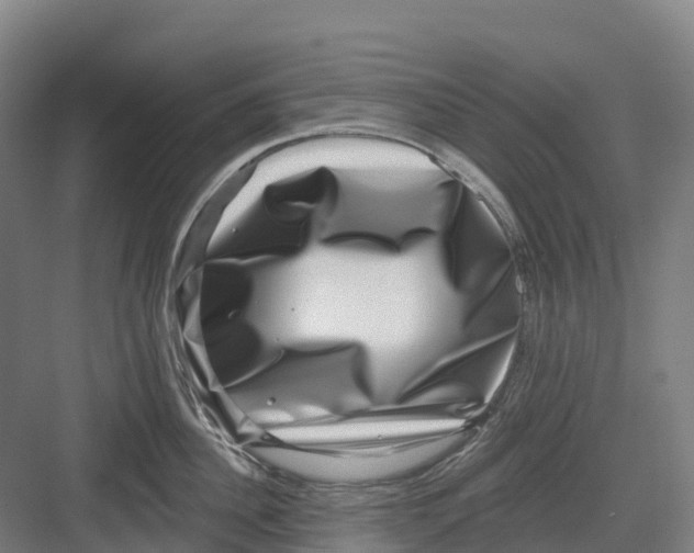 X0000082760956200702162022