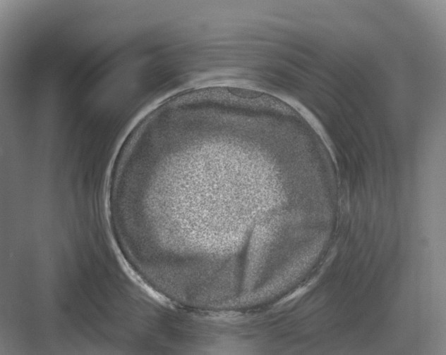 X0000082760957200702162022