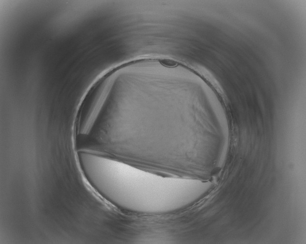 X0000082760958200702162022