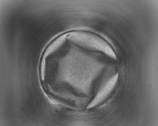 X0000082760959200702162022