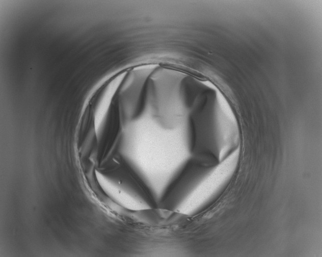 X0000082760960200702162022