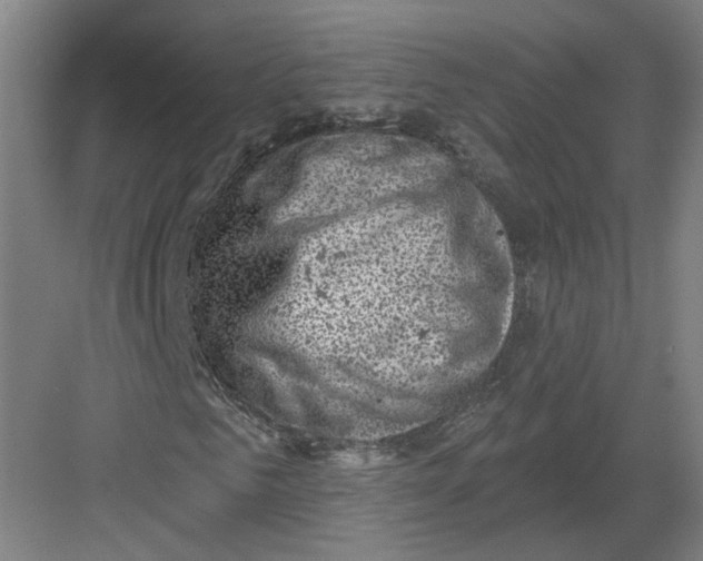 X0000082760961200702162021