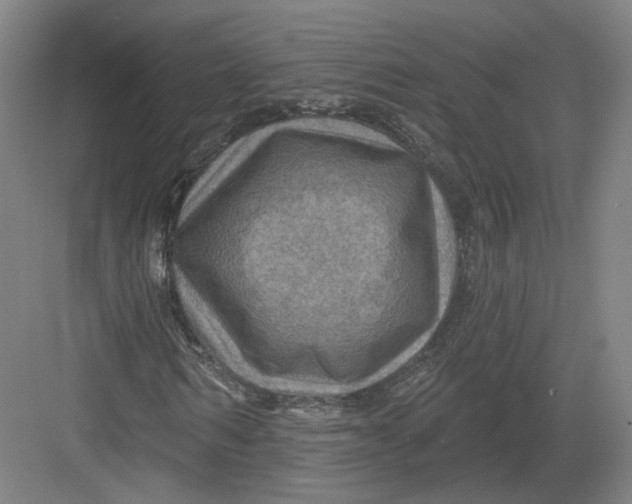 X0000082760962200702162021