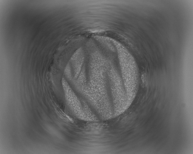 X0000082760963200702162021