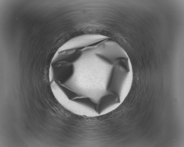 X0000082760964200702162021