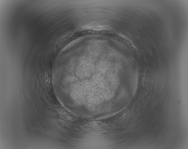 X0000082760966200702162021