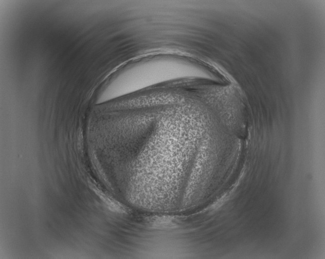 X0000082760969200702162021