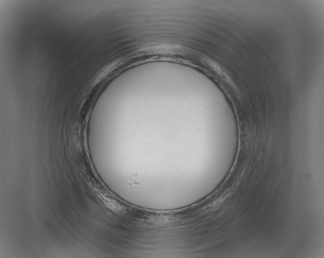 X0000082760970200702162021