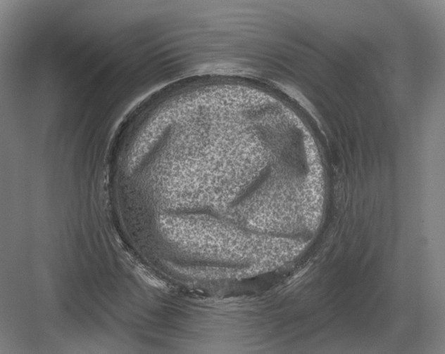 X0000082760971200702162021