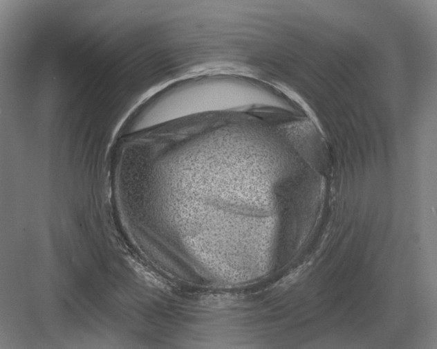 X0000082760973200702162021