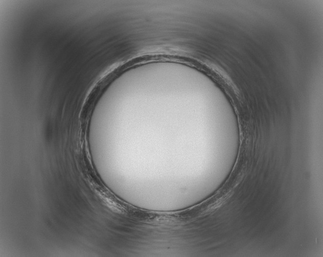 X0000082760974200702162021