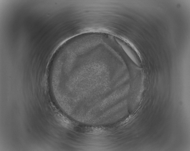 X0000082760975200702162021